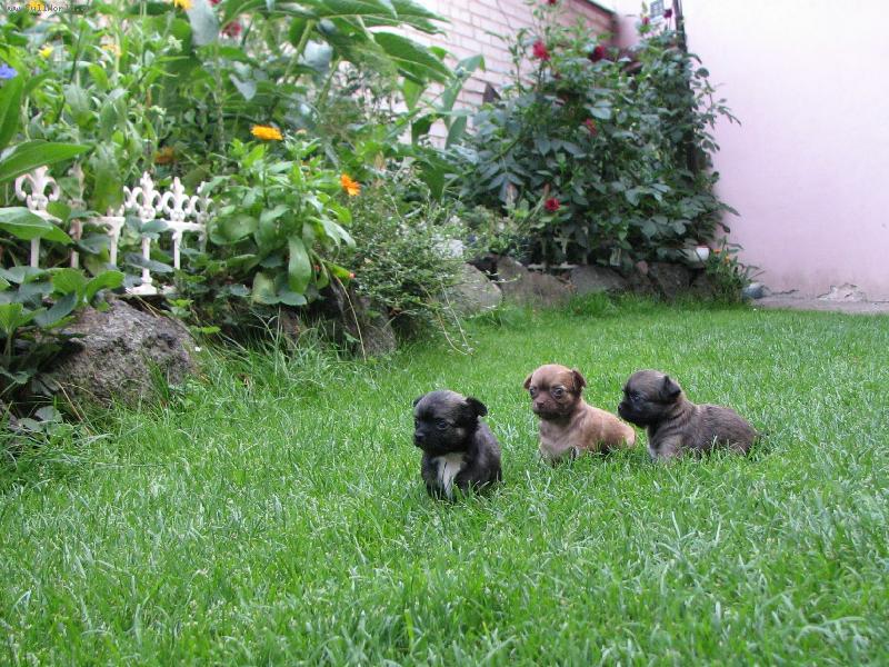 Foto: T�eba�sk� �dol�-�ivava �t�n�