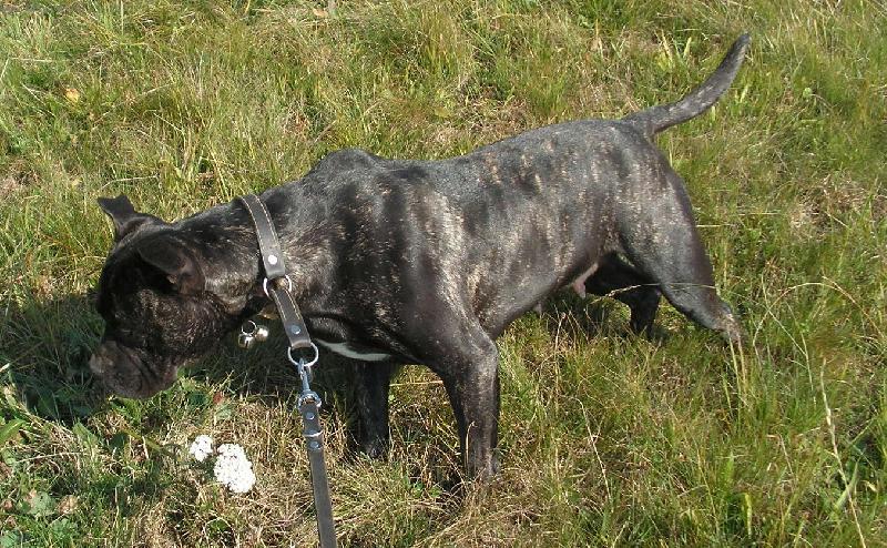 Foto: Geena na prochazce