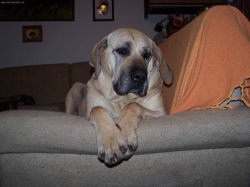 Foto: Aba�na Anavi Rachilem