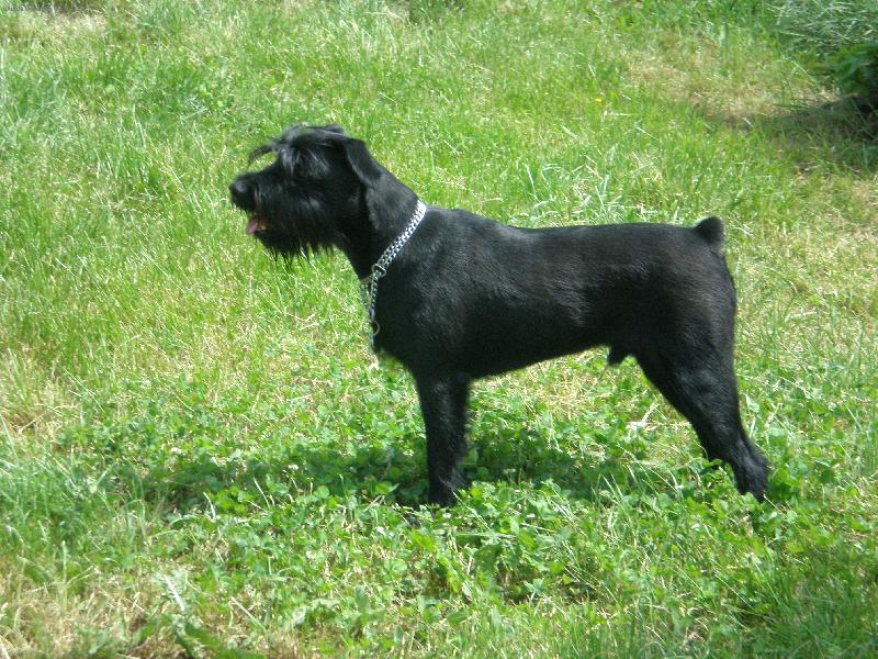 Foto: Ryx�k-To m�m,ale svaly,�e???