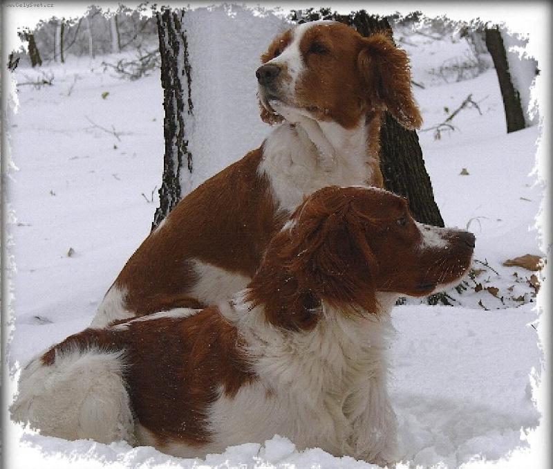 Foto: zima 2007-p�za pro PF-ko