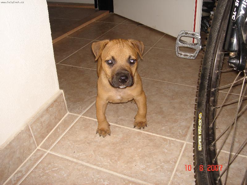 Foto: Pr�ek-prvn� den v nov�m prost�ed�...