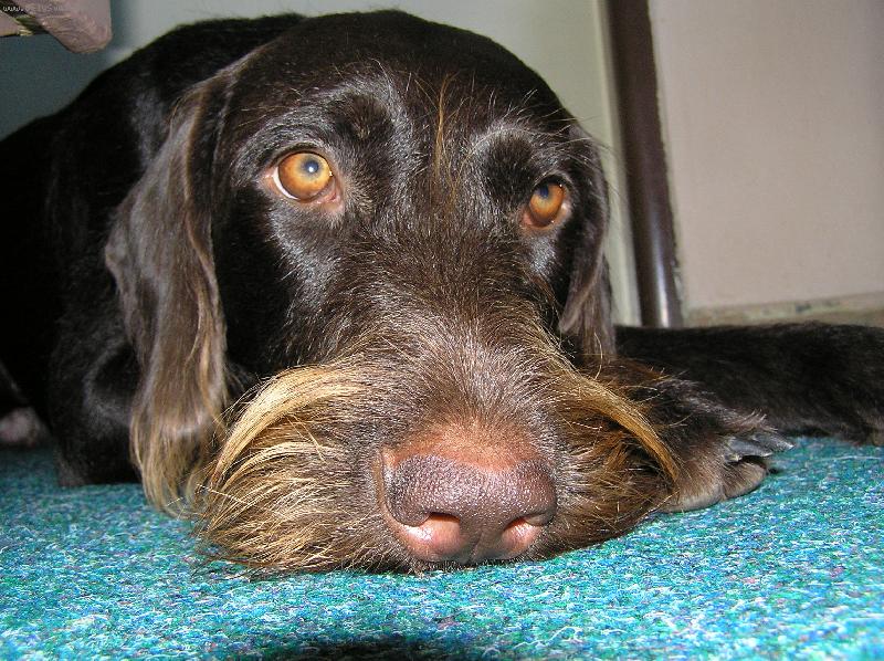 Foto: Orina z Kyjovic