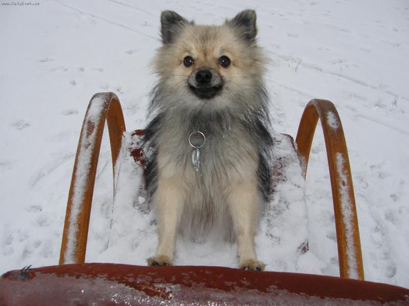 Foto: Na star�m k�esle