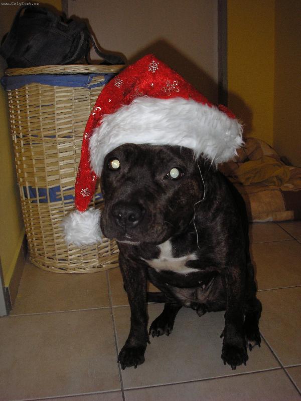 Foto: S�RA-V�noce