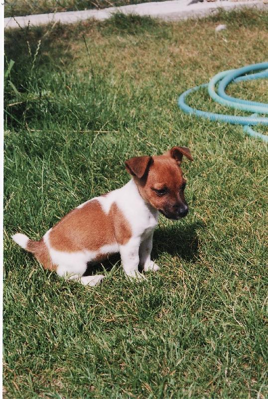 Foto: Amy-�ek�m kluky ze �koly