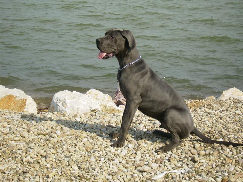 Foto: arthur apollon adonis-N� drob�ek