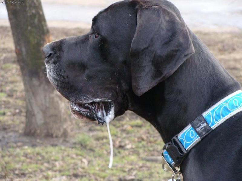 Foto: Arthur - Barneby od �ternbersk�ho hradu