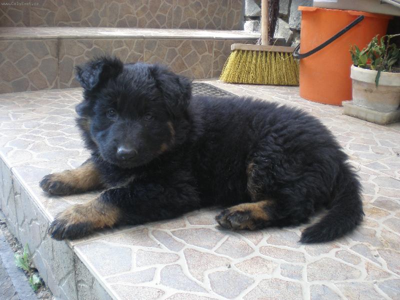 Foto: Cindy Mavoru-Jako malink�... =p)