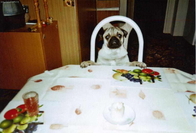 Foto: �ek�n� na ob�d