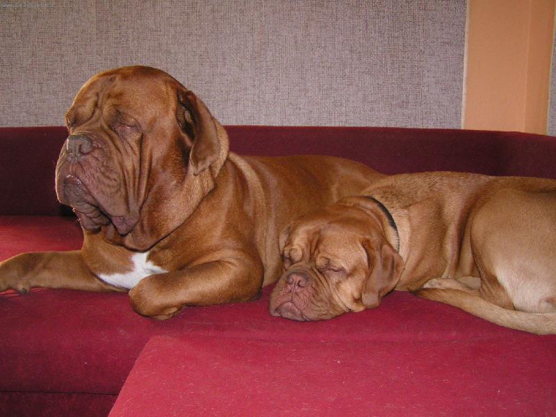 Foto: Pohoda-Mortimorek s Dodinkou sp�