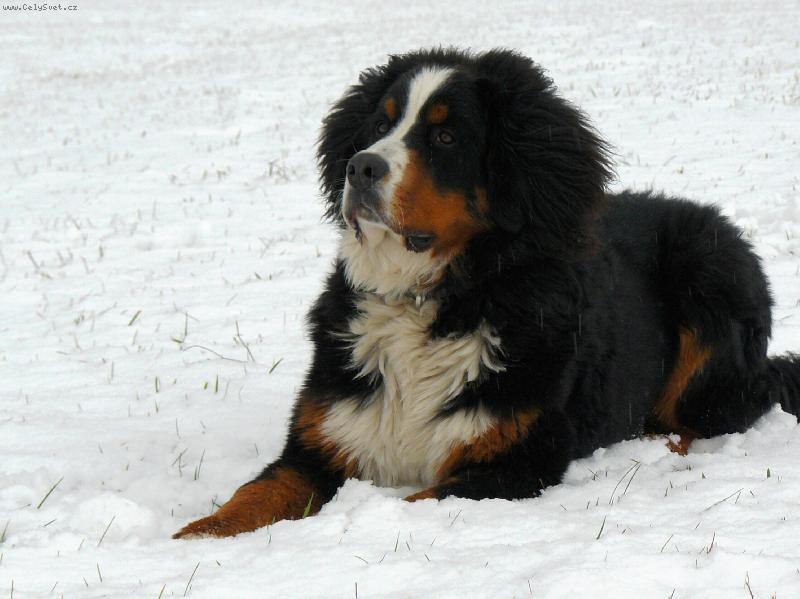 Foto: Andy Rainbow Star