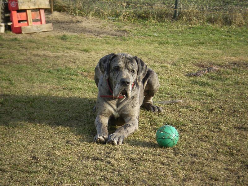 Foto: Jak jinak ne� IGOREK