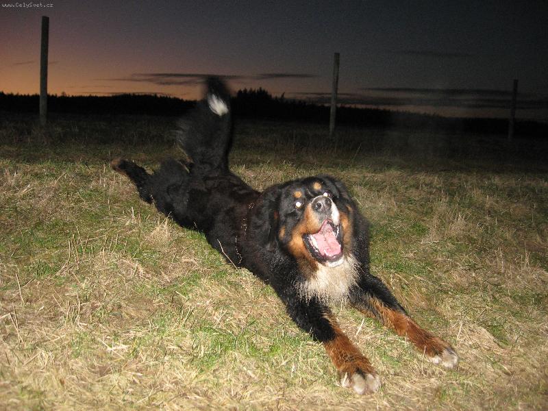 Foto: Argo se v�l�