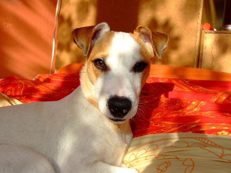 Foto: Phoebe d��me