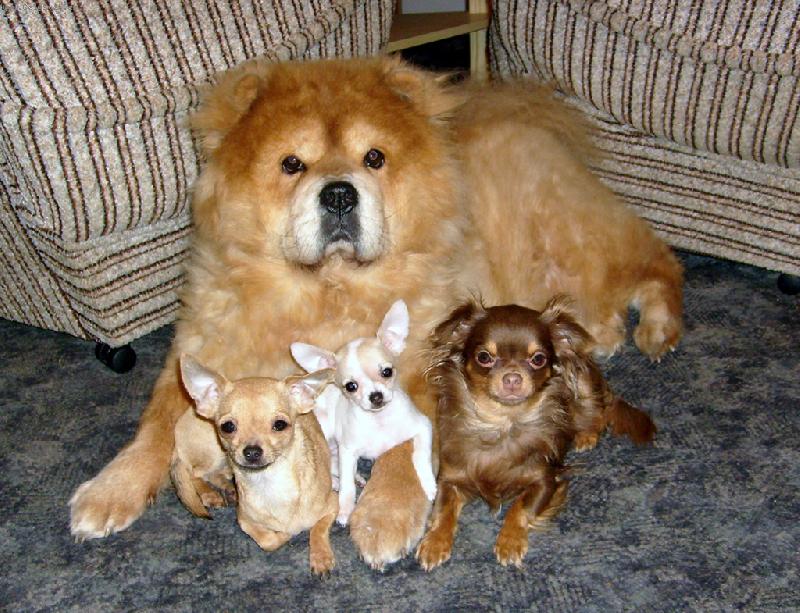 Foto: �iva�au-holky ...