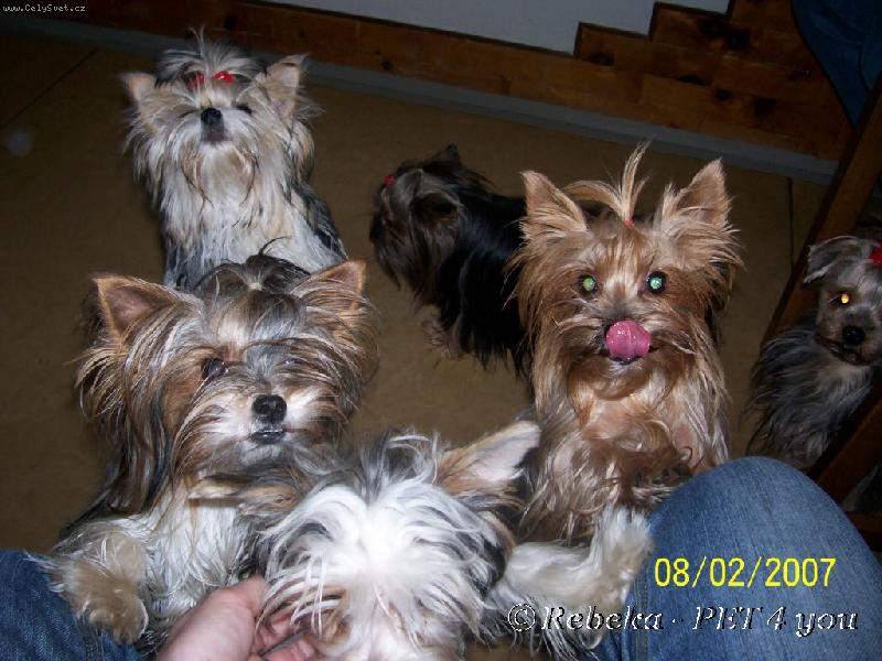 Foto: na n�v�t�v�