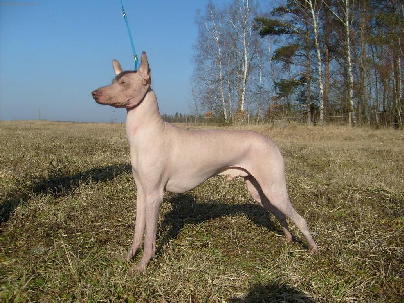 Foto: Peru�nsk� nah�� velk�-to um�m, ale kr�sn� st�t co??