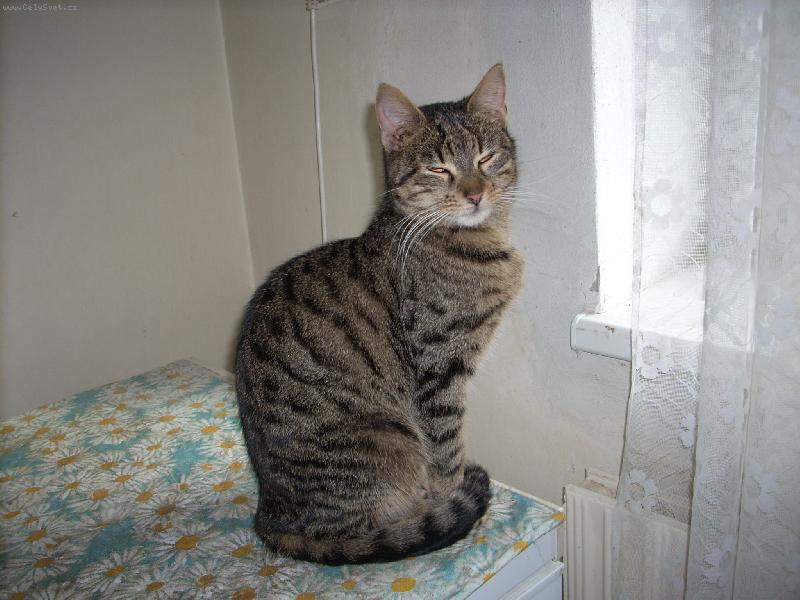 Foto: M�ca-kuk,vylet� pt��ek