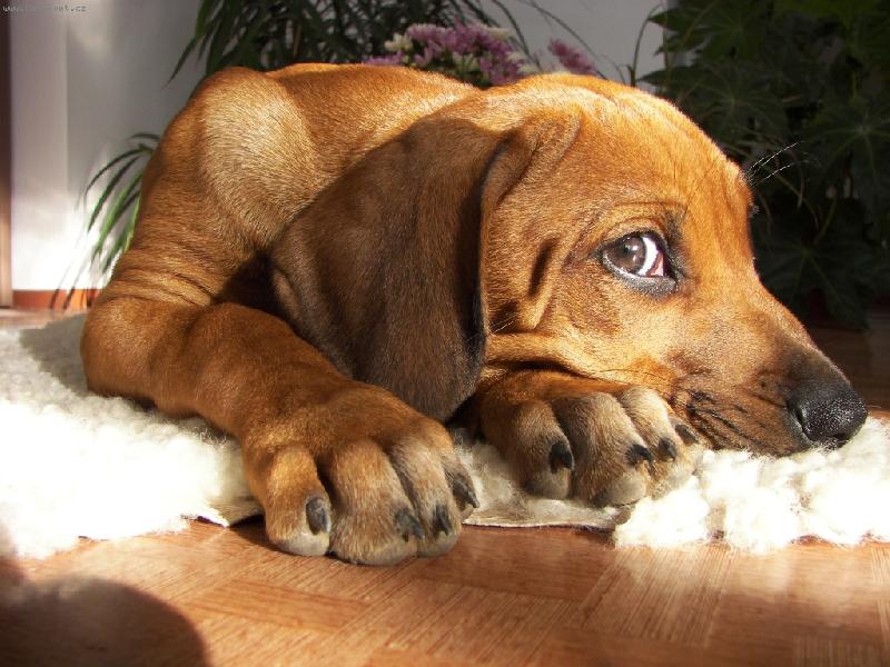 Foto: Albinka-..j� nic...