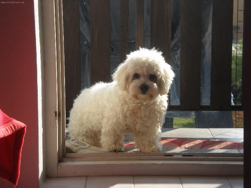 Foto: mil��ek-kouk�m co bych sn�dl