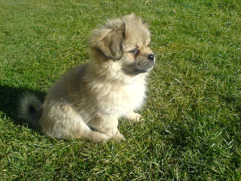 Foto: u� m� fot�?