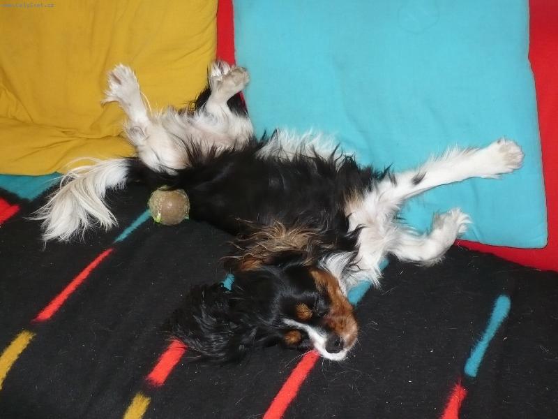 Foto: Pohodi�ka na gau�i