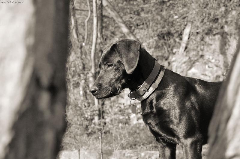 Foto: Voyeursky zachycen