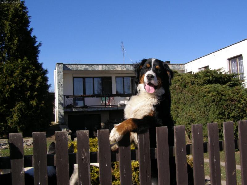 Foto: �ek�n� na pani�ku