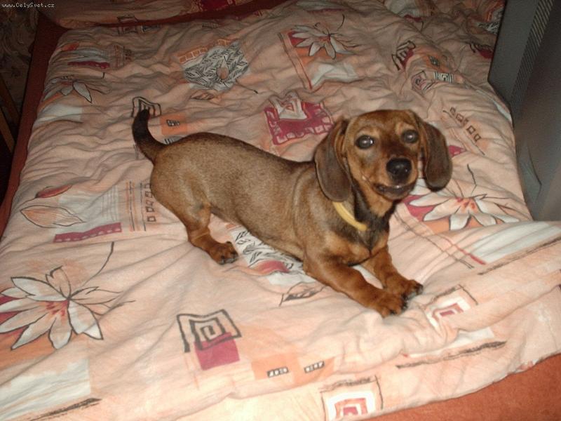 Foto: Zuzanka 4 m�s�ce