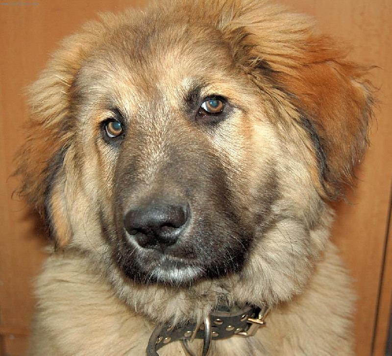 Foto: arch�-3 m�s�ce