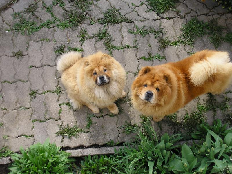 Foto: hal�, vy tam naho�e....