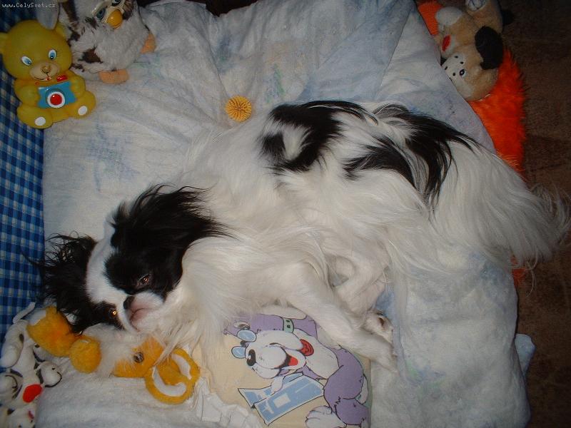 Foto: Le��c�...