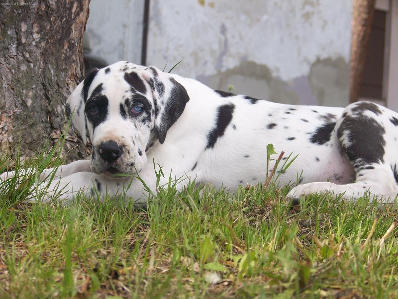 Foto: Bartholomew ��han� And�l (B�rt�k)-2. m�s�ce