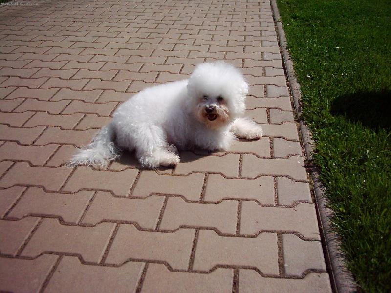 Foto: bol� m� u� no�i�ky...