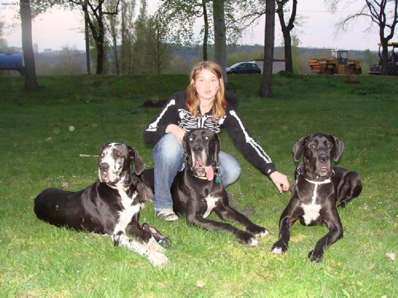 Foto: Abby,Arthur a Asha-Abby,Arthur a Asha