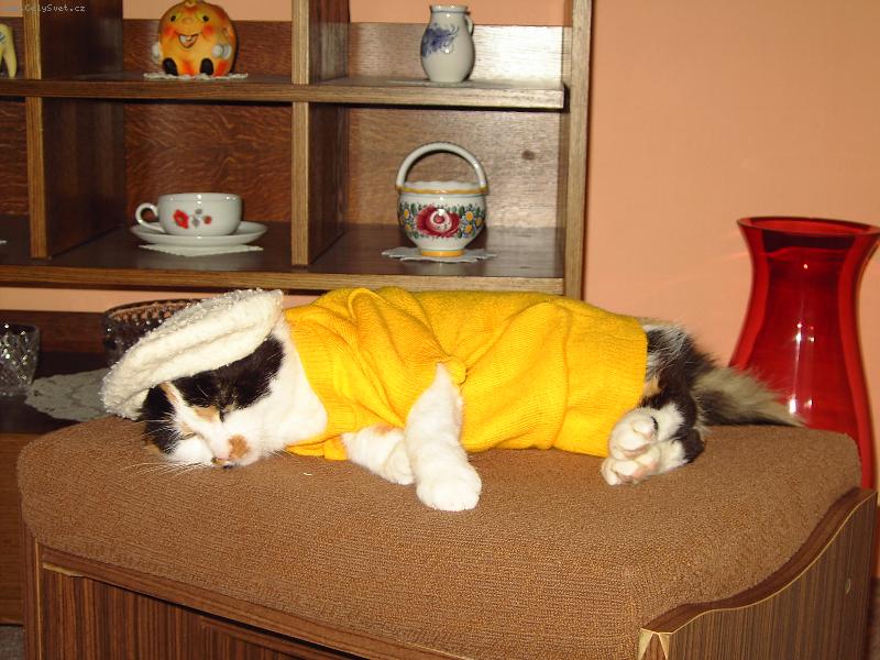 Foto: L�zinka-To mi ale sekne