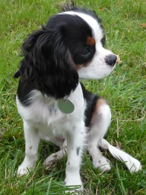 Foto: ��rl�-4 m�s�ce