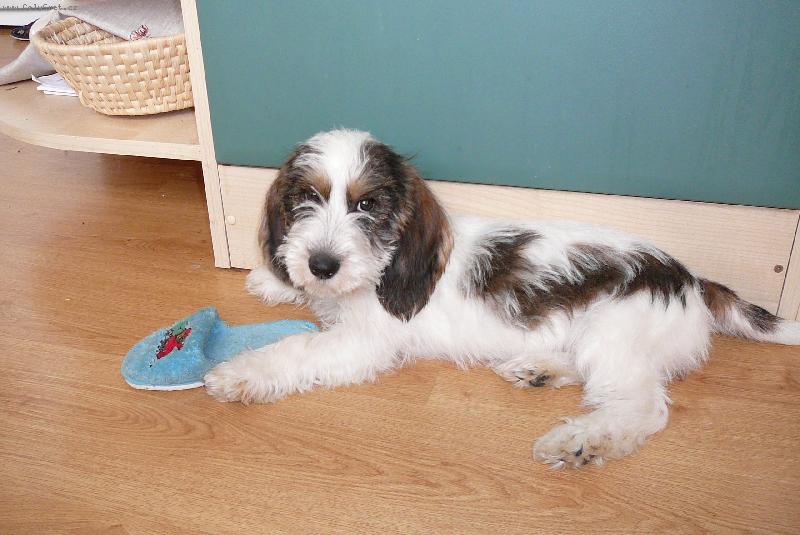 Foto: Josefina Elve Bohemica-�t�n�