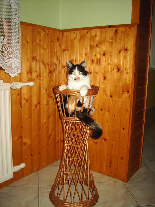 Foto: L�za-To je pohoda