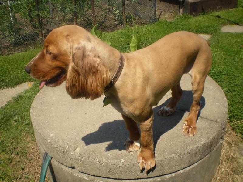 Foto: Niki-letn� sest�ih