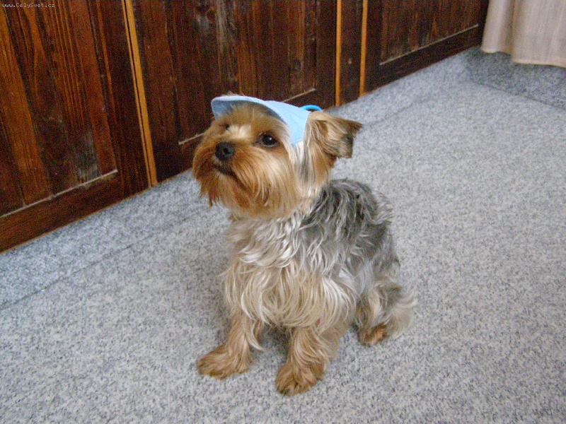 Foto: M�a v nov�  �epici