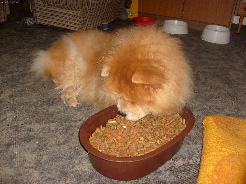 Foto: Ustora Haltrava-to v�echno je moje :-)