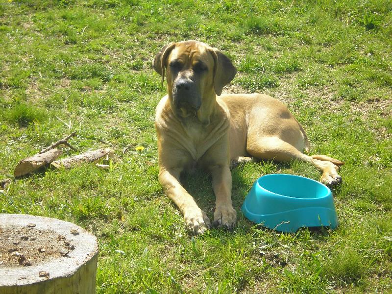 Foto: Baira Taik�-je mi 13 m�s�c�