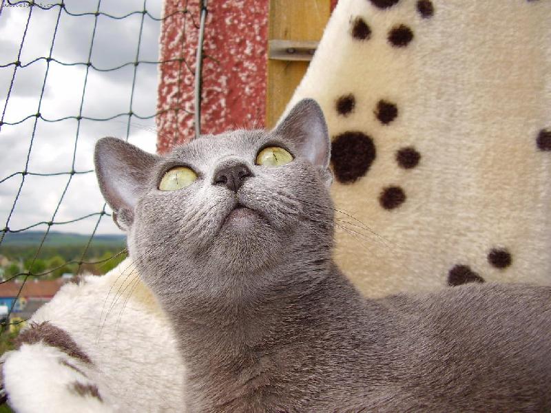 Foto: Filinka-Filinka na balk�n�