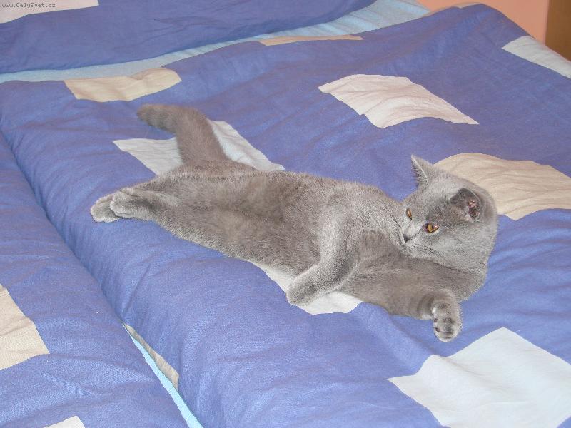 Foto: �ibu-u� tro�i�ku vyrostla je j� 5 m�s�c�