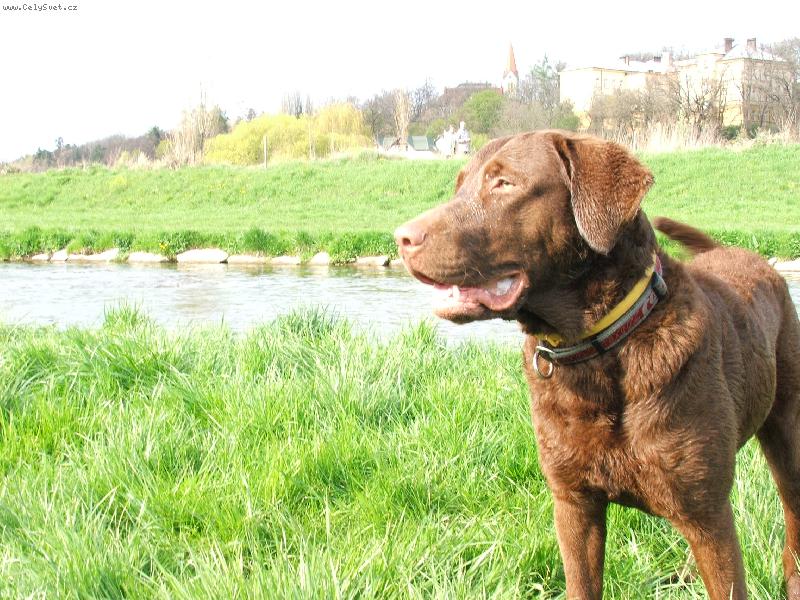 Foto: U vody, kde jinde