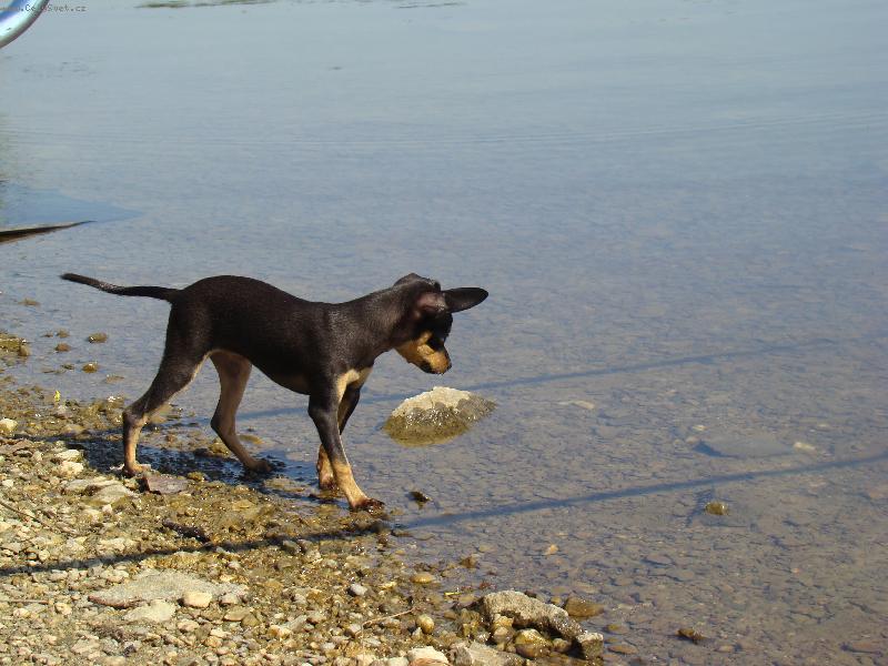 Foto: na ryb�ch-voda