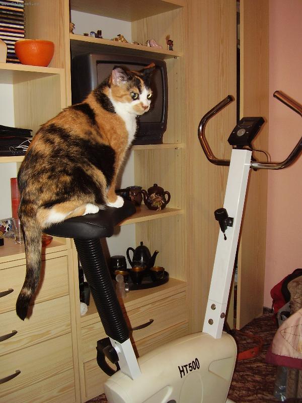 Foto: Zuzana-shodit p�r kilo by ne�kodilo