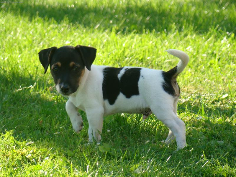 Foto: art-je n�m deset t�dnu